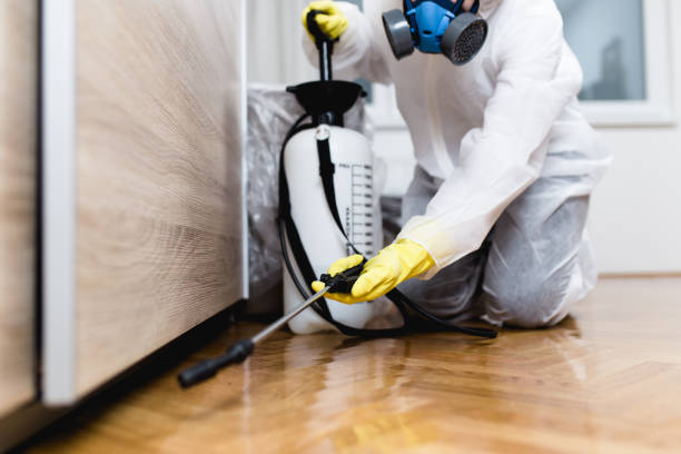 Best Best Pest Control Companies  in Rolling Meadows, IL