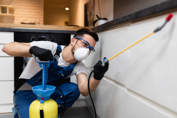 Best Exterminator Services  in Rolling Meadows, IL