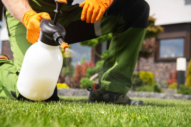 Best Affordable Pest Control Services  in Rolling Meadows, IL