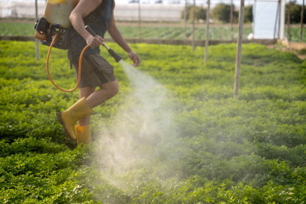 Best Best Pest Control Companies  in Rolling Meadows, IL