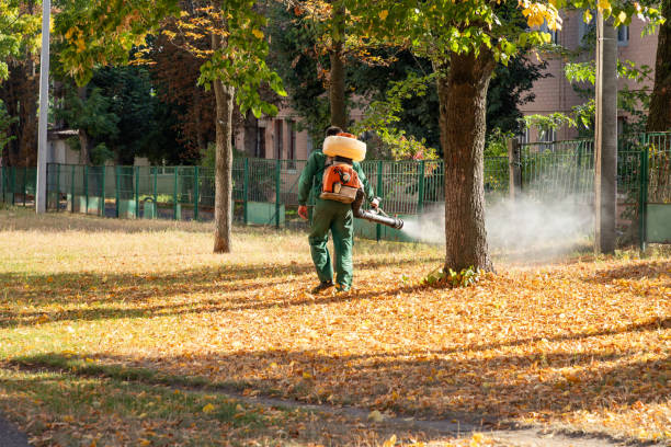 Best Pest Control Near Me  in Rolling Meadows, IL